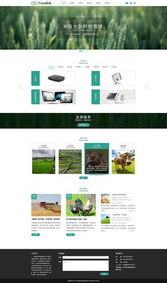 武漢鈦聯信息技術官網設計定稿 構建專業高效的企業官網平臺